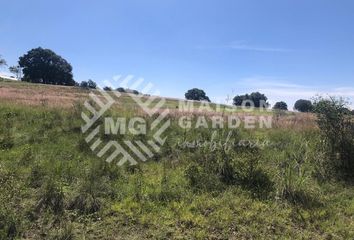 Lote de Terreno en  Avenida De Las Haras, San Juan Flor Del Bosque, Heróica Puebla De Zaragoza, Puebla, 72360, Mex