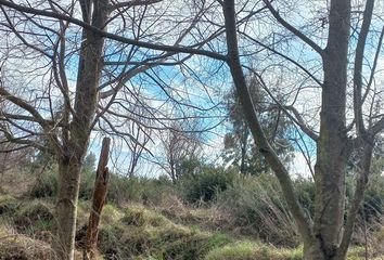 Parcela en  Lautaro, Cautín