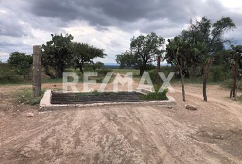 Local comercial en  Congregación San José Del Tanque, San Felipe, Guanajuato