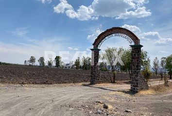 Nave en  Jardines De Arandas, Irapuato, Guanajuato