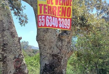 Lote de Terreno en  Carretera Jilotepec-maravillas, Danxhó, Jilotepec, México, 54273, Mex