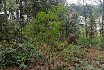 Lote de Terreno en  Los Alcanfores, San Cristóbal De Las Casas