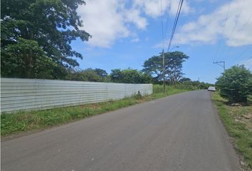 Finca/Hacienda en  El Coco, La Chorrera