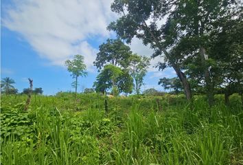 Finca/Hacienda en  El Coco, La Chorrera