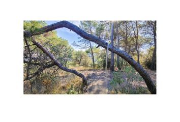 Terreno en  Castellar Del Valles, Barcelona Provincia