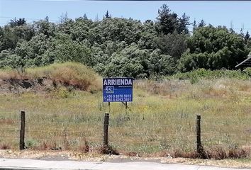 Bodega en  Los Ángeles, Bío-bío