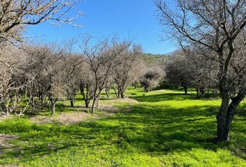 Parcela en  Curacaví, Melipilla