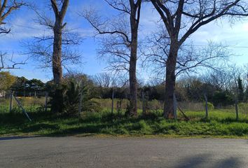 Terrenos en  El Talar, Partido De Tigre