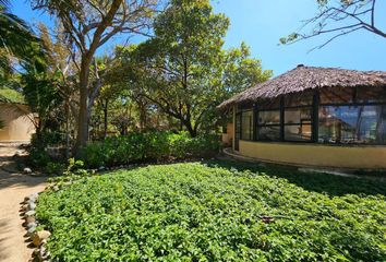 Lote de Terreno en  Arroyo Seco, Petatlán, Guerrero, Mex