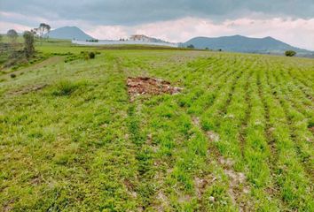 Lote de Terreno en  Carretera Toluca-atlacomulco, San Isidro Boxipe, Ixtlahuaca, México, 50783, Mex