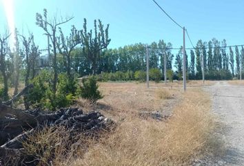 Terrenos en  Valentina Norte Urbana, Neuquén