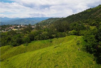 Lote de Terreno en  Valparaíso, Antioquia