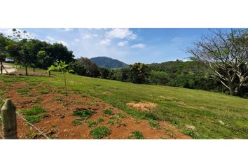 Lote de Terreno en  Tarso, Antioquia