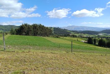 Terreno Comercial en  Cayambe