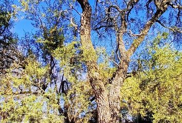 Terrenos en  Merlo, San Luis