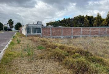 Lote de Terreno en  Calle Álamos, Javier Rojo Gómez, Tulancingo De Bravo, Hidalgo, Mex