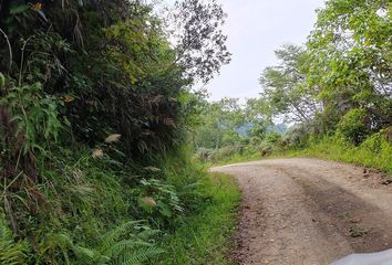 Lote de Terreno en  Tlahuiltepa, Tianguistengo, Hidalgo, Mex