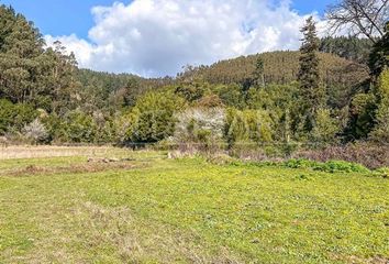 Parcela en  Tomé, Concepción