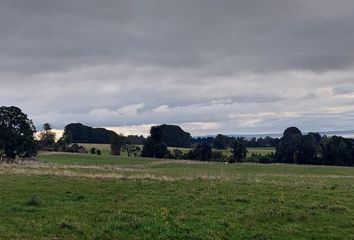 Parcela en  Puerto Varas, Llanquihue