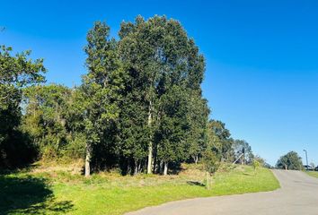 Parcela en  Puerto Varas, Llanquihue