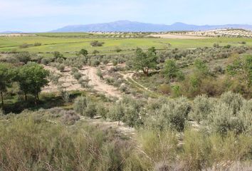 Terreno en  Cullar, Granada Provincia