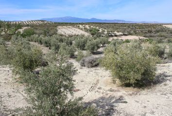 Terreno en  Cullar, Granada Provincia