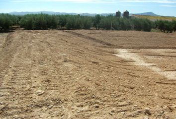 Terreno en  Fuente Alamo, Murcia Provincia