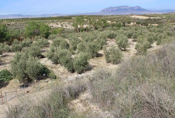 Terreno en  Cullar, Granada Provincia