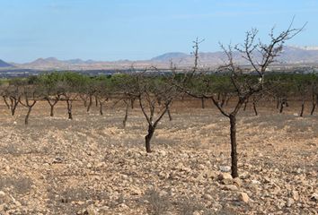 Terreno en  Fuente Alamo, Murcia Provincia