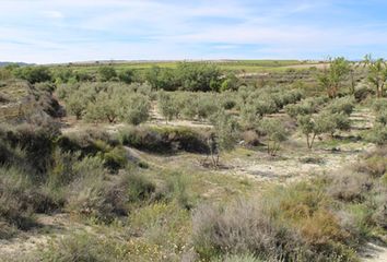 Terreno en  Cullar, Granada Provincia