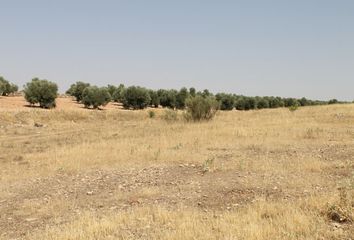 Terreno en  Campo De Criptana, Ciudad Real Provincia