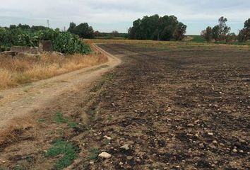 Terreno en  Alcala Del Rio, Sevilla Provincia