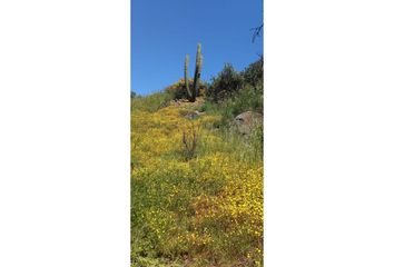 Parcela en  Curacaví, Melipilla