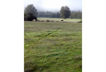 Parcela en  Peralillo, Colchagua