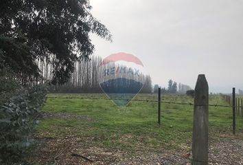 Parcela en  Buin, Maipo