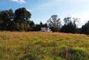 Lote de Terreno en  Vereda Yerbabuena, Chía