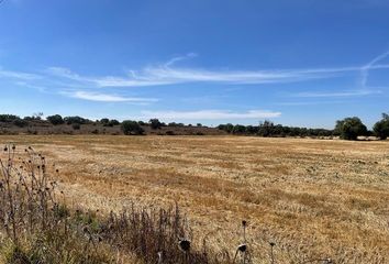 Lote de Terreno en  Tizayuca Centro, Tizayuca