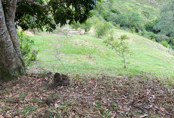 Lote de Terreno en  Montañitas, Yumbo