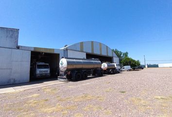 Galpónes/Bodegas en  San Martín, Mendoza