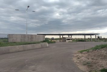 Terrenos en  Luján De Cuyo, Mendoza