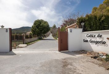 Terreno en  Padul, Granada Provincia