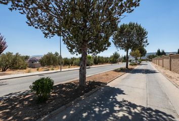 Terreno en  Caparacena, Granada Provincia