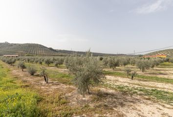 Terreno en  Deifontes, Granada Provincia