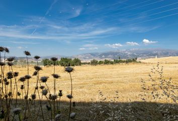 Terreno en  Gabia La Grande, Granada Provincia