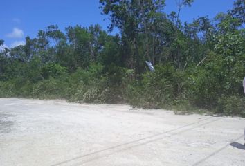 Lote de Terreno en  La Veleta, Tulum