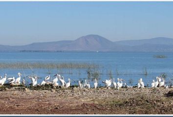 Lote de Terreno en  Jalisco