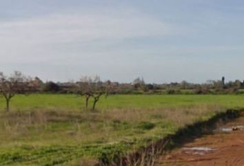 Terreno en  Campos, Balears (illes)