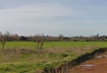 Terreno en  Campos, Balears (illes)