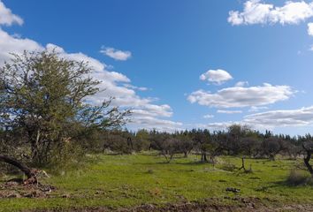 Parcela en  Parral, Linares