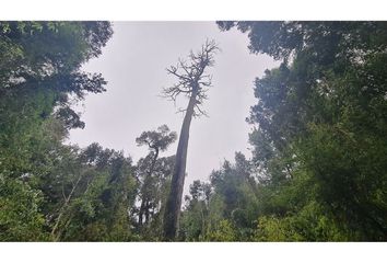 Parcela en  Puerto Montt, Llanquihue